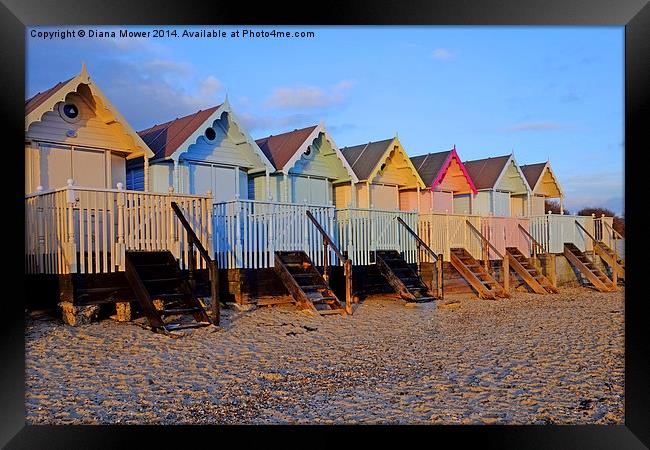 Mersea Beach Huts Framed Print by Diana Mower