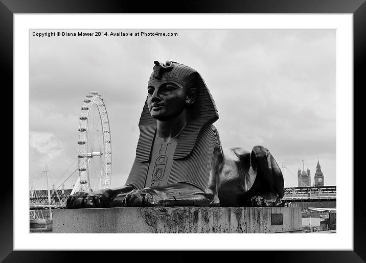 Sphinx London Framed Mounted Print by Diana Mower