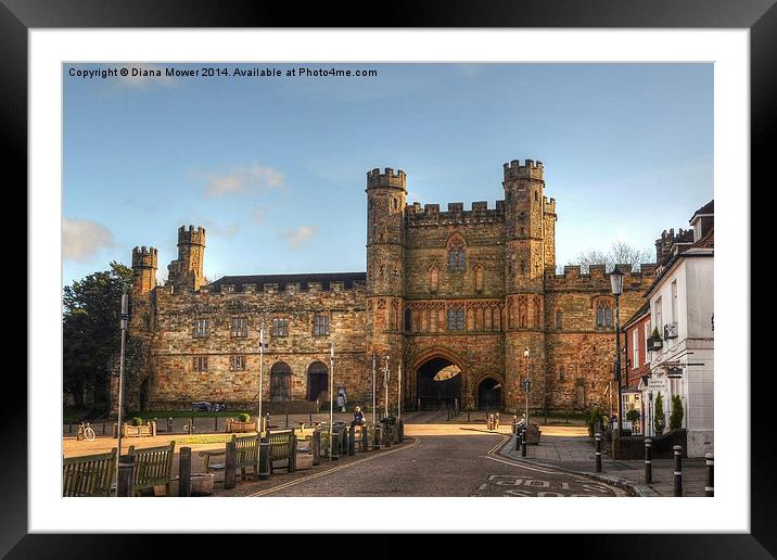 Battle Abbey Framed Mounted Print by Diana Mower