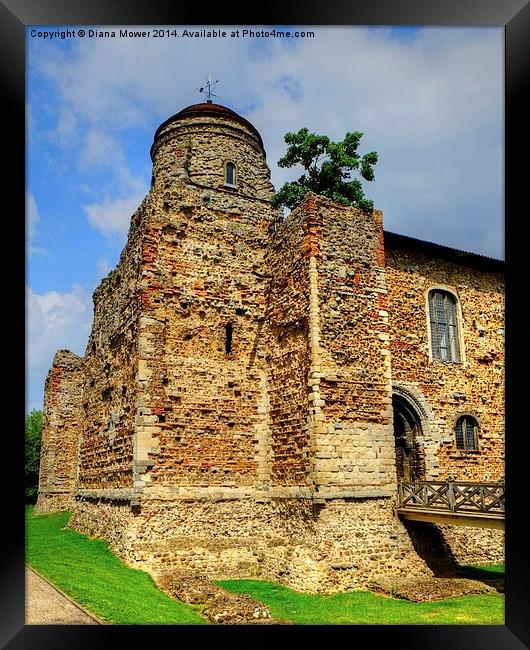Colchester Castle Framed Print by Diana Mower