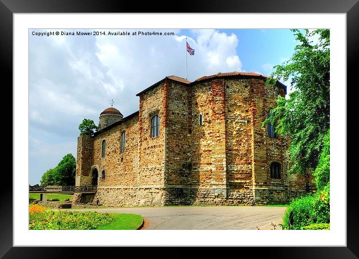 Colchester Castle Framed Mounted Print by Diana Mower