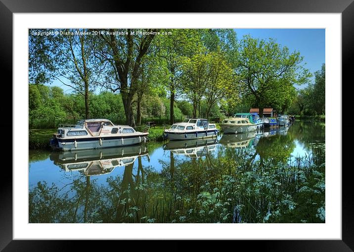 River Chelmer Framed Mounted Print by Diana Mower