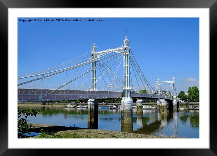 Albert Bridge London Framed Mounted Print by Diana Mower