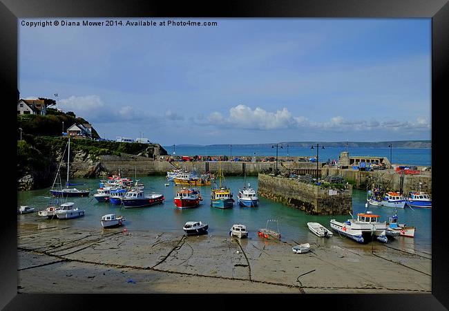 Newquay Harbour Framed Print by Diana Mower