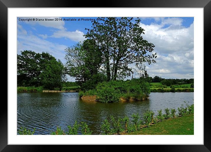  Hylands Park  Framed Mounted Print by Diana Mower