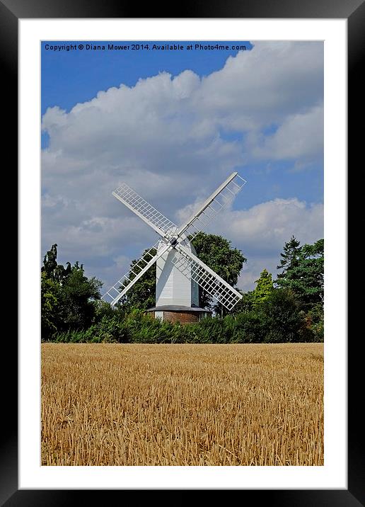  Bocking Windmill Framed Mounted Print by Diana Mower
