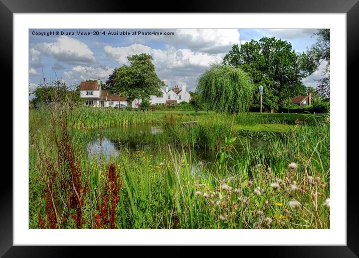  Danbury Essex Framed Mounted Print by Diana Mower