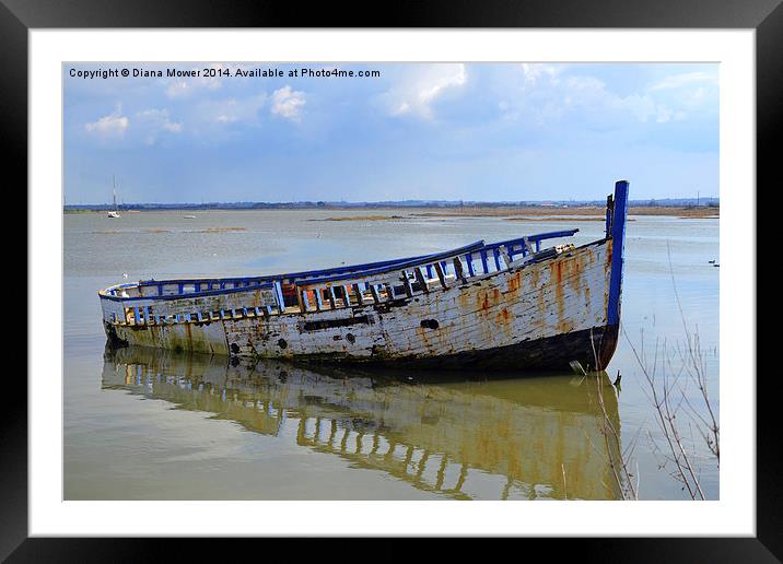 Wreck Framed Mounted Print by Diana Mower