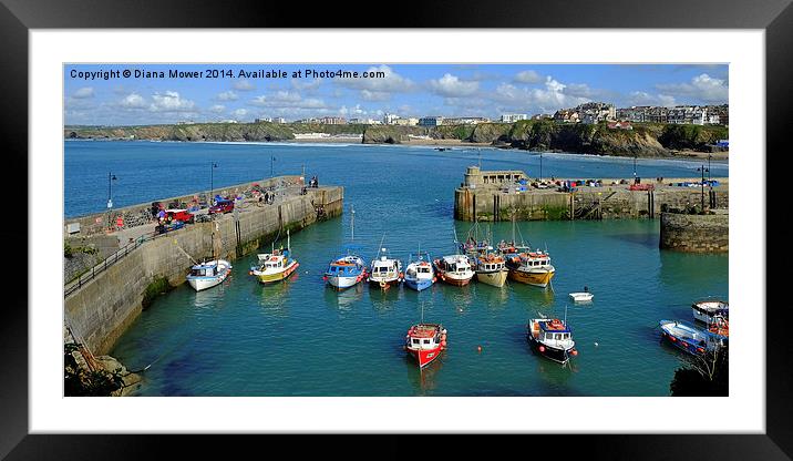  Newquay Harbour  Framed Mounted Print by Diana Mower