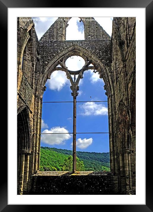  Tintern Abbey Framed Mounted Print by Diana Mower