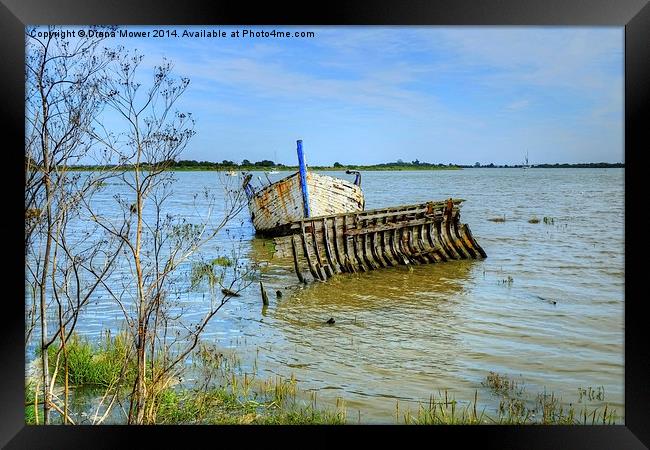  Wrecks Maldon Essex Framed Print by Diana Mower