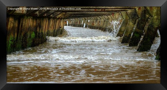  Under the Pier Framed Print by Diana Mower