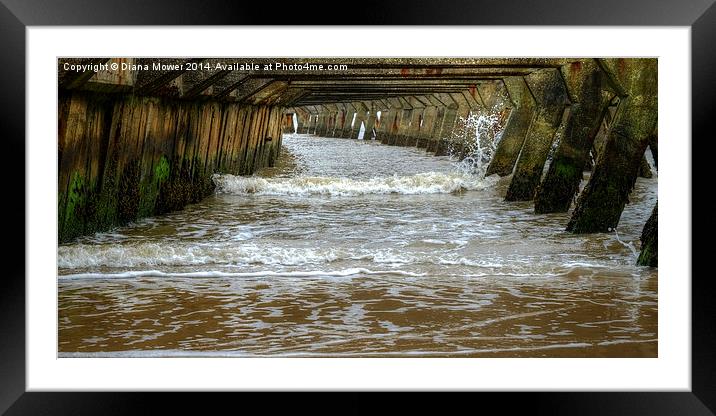  Under the Pier Framed Mounted Print by Diana Mower