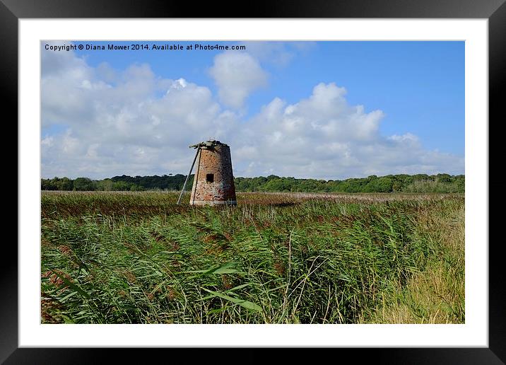  Walberswick Mill Framed Mounted Print by Diana Mower