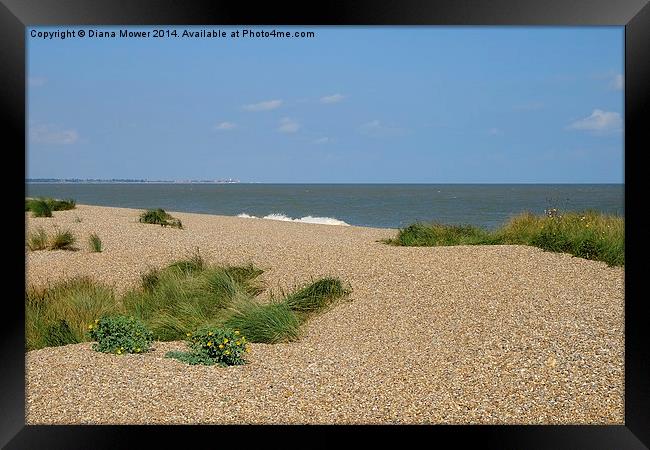  Dunwich heath  Beach Framed Print by Diana Mower