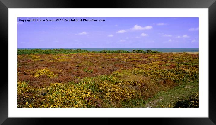  Dunwich Heath Framed Mounted Print by Diana Mower