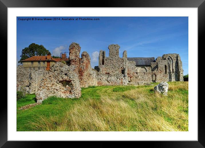   Leiston Abbey  Framed Mounted Print by Diana Mower