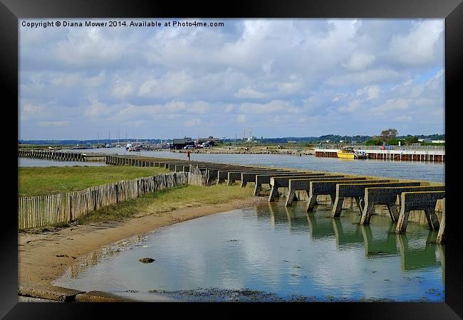 Walberswick  Framed Print by Diana Mower