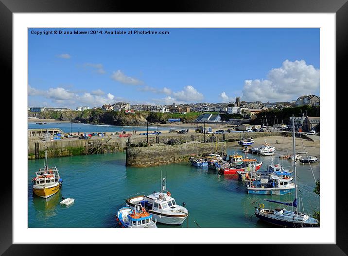 Newquay Harbour   Framed Mounted Print by Diana Mower