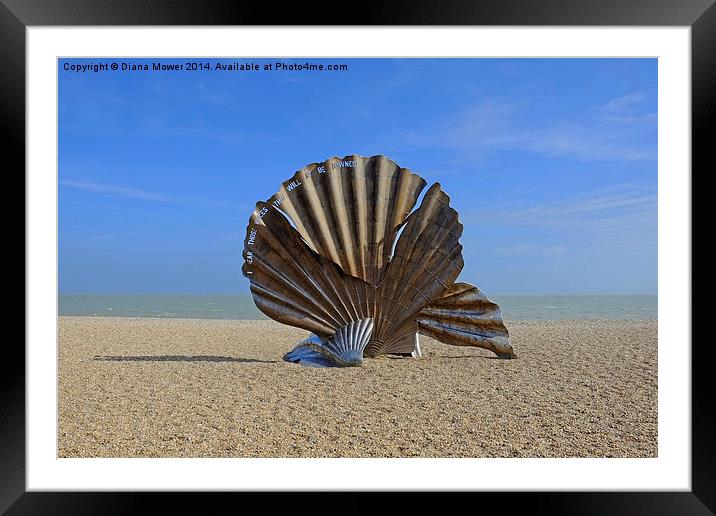  Aldeburgh Scallop Framed Mounted Print by Diana Mower