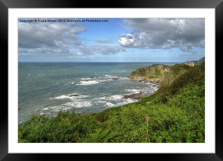  Ilfracombe Coastal scene Framed Mounted Print by Diana Mower