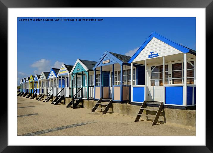  Southwold beach huts  Framed Mounted Print by Diana Mower