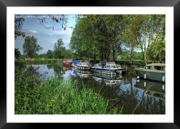 Boats on the Chelmer  Framed Mounted Print by Diana Mower
