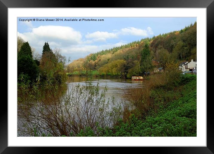 Symonds Yat  Framed Mounted Print by Diana Mower