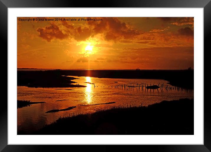 Tollesbury Essex  Framed Mounted Print by Diana Mower