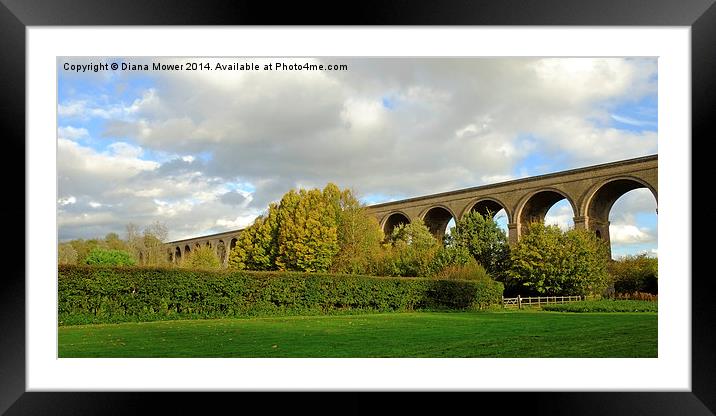 Chappel Viaduct  Framed Mounted Print by Diana Mower