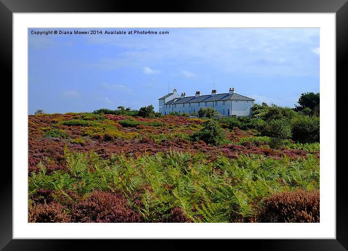  Dunwich Heath Framed Mounted Print by Diana Mower