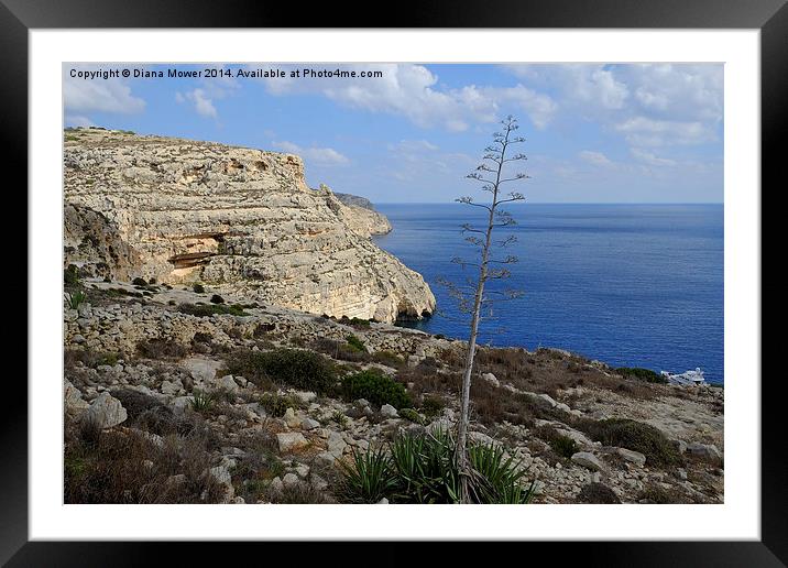  Blue Grotto Malta Framed Mounted Print by Diana Mower