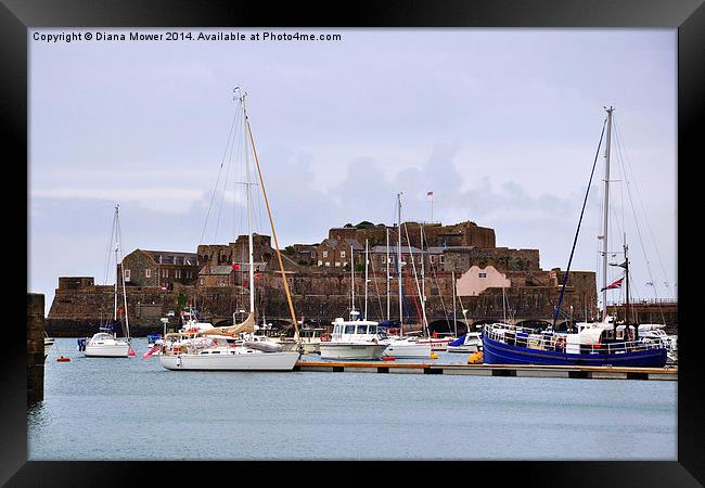  St Peter Port Harbour Framed Print by Diana Mower