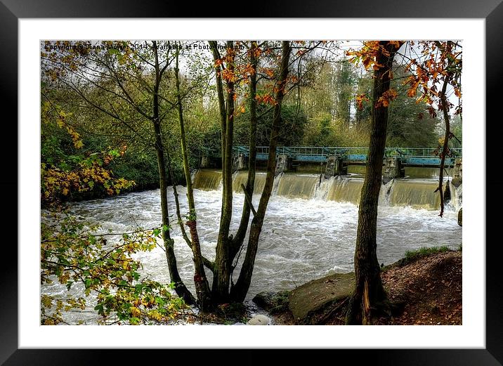 Beeleigh Falls  Framed Mounted Print by Diana Mower