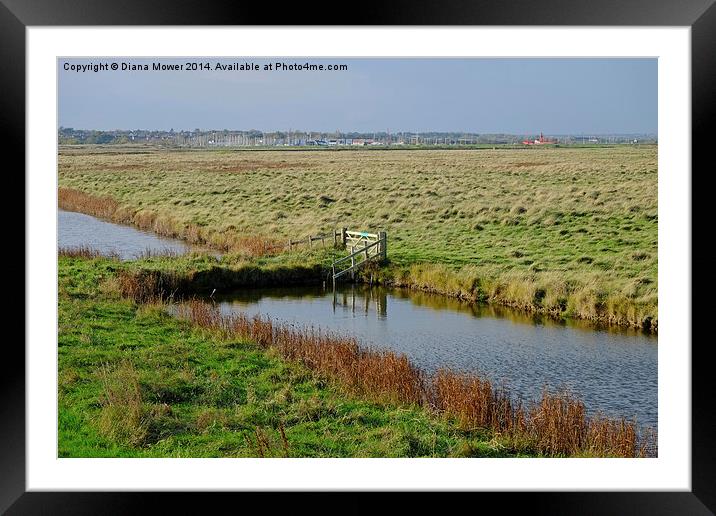 Tollesbury Marshes  Framed Mounted Print by Diana Mower