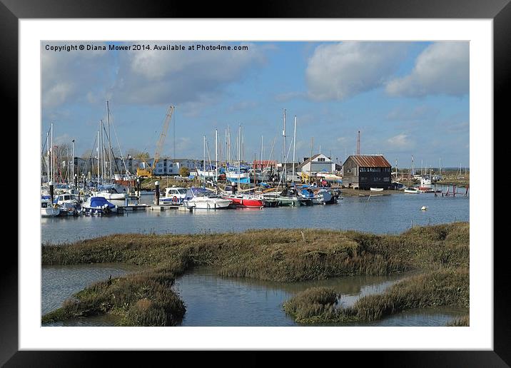  Tollesbury Marina Framed Mounted Print by Diana Mower