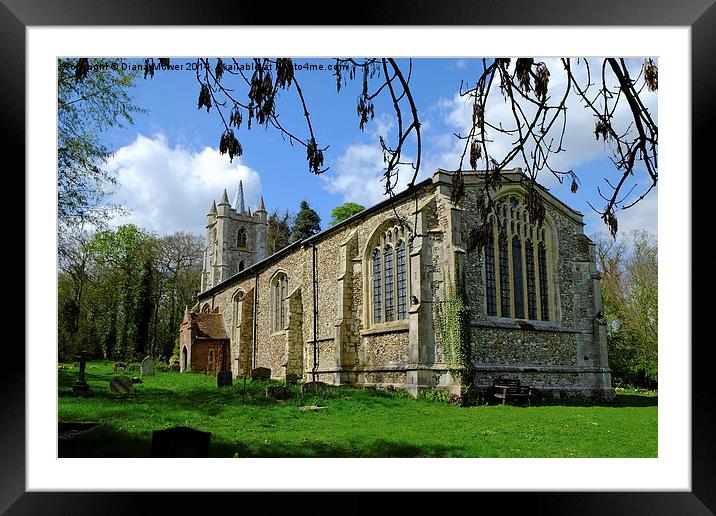  St Marys Little  Sampford Framed Mounted Print by Diana Mower