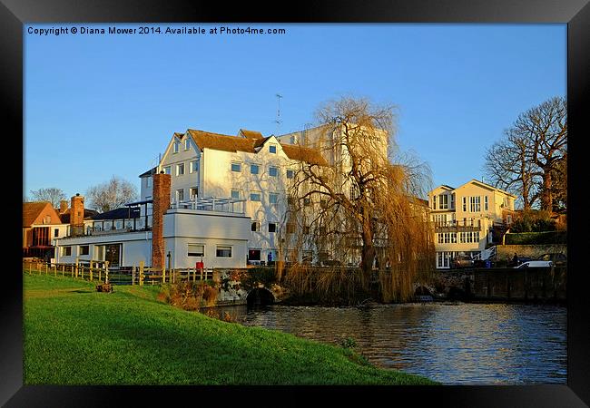  Sudbury Mill Framed Print by Diana Mower