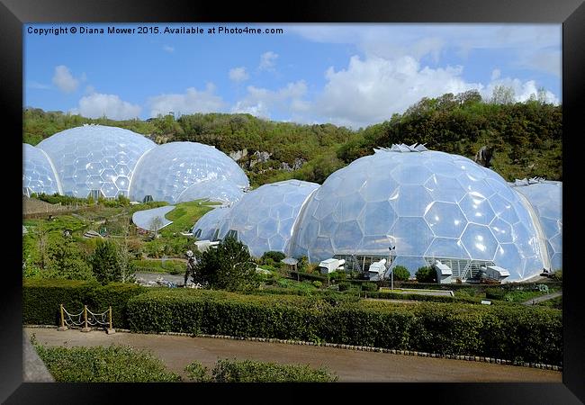  The Eden Project Framed Print by Diana Mower