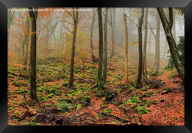 The Forest of Dean Framed Print by Diana Mower