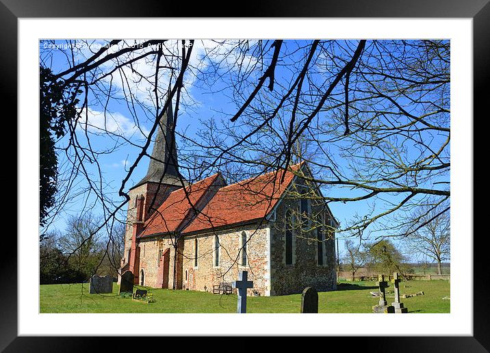 St Mary and St Peter  Fairstead Framed Mounted Print by Diana Mower