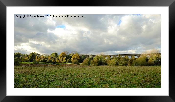  Chappel Viaduct Framed Mounted Print by Diana Mower
