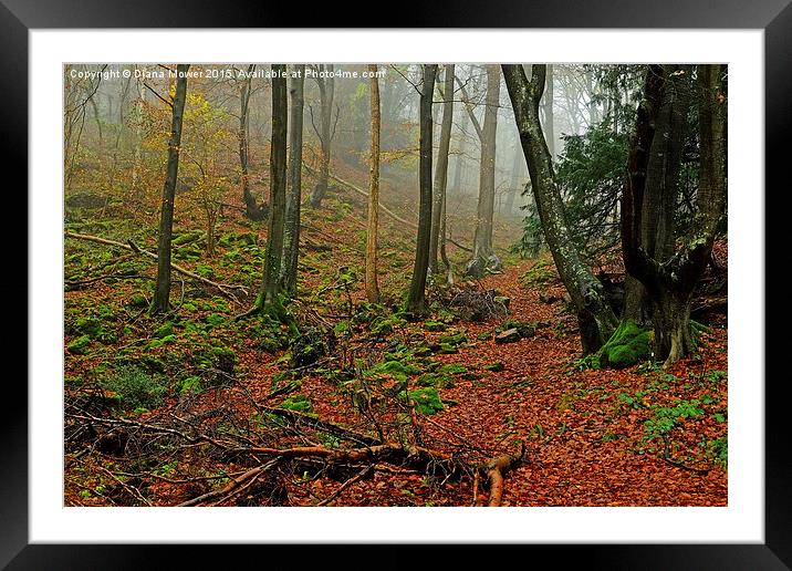  Misty Forest of Dean Framed Mounted Print by Diana Mower