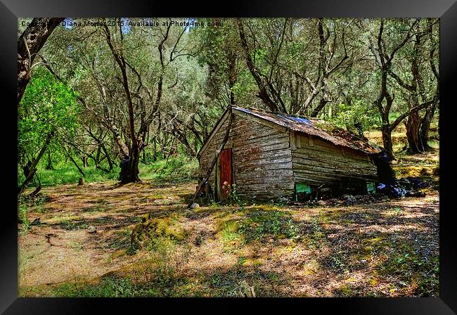  Olive Grove Cabin Framed Print by Diana Mower