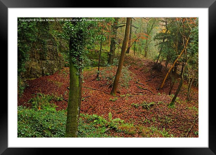  Forest of Dean Framed Mounted Print by Diana Mower