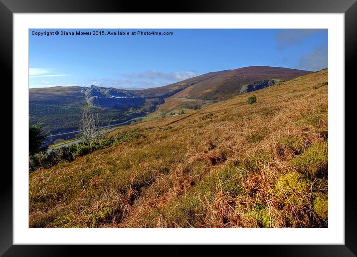  Horseshoe Pass Framed Mounted Print by Diana Mower