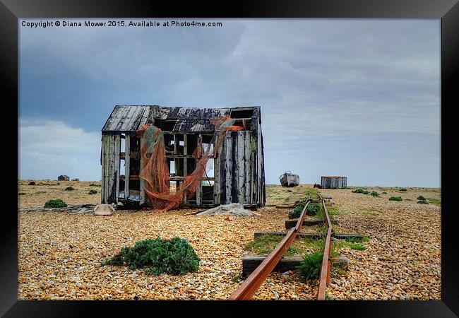 Dungeness  Framed Print by Diana Mower