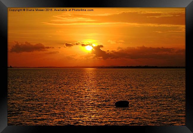 Tollesbury Marshes Autumn sunset  Framed Print by Diana Mower