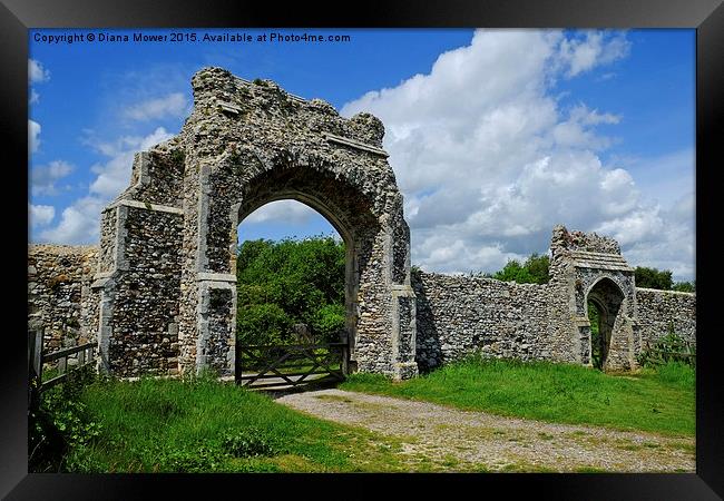  Greyfriars Priory Gateway Framed Print by Diana Mower