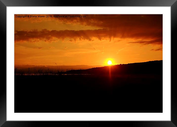  Sand Point Sunset Framed Mounted Print by Diana Mower